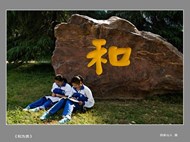 第七届洗墨池文化节摄影展（之三）