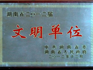 澧县第一中学110周年校庆授予各地校友会会旗