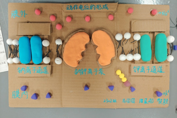 微信图片_20241225110224