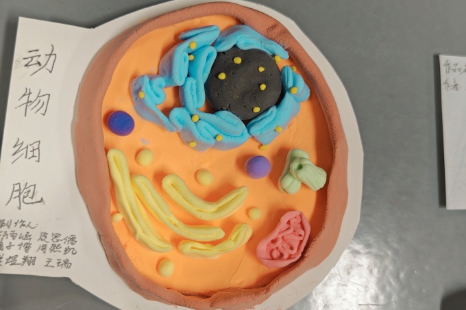 微信图片_20241225110245