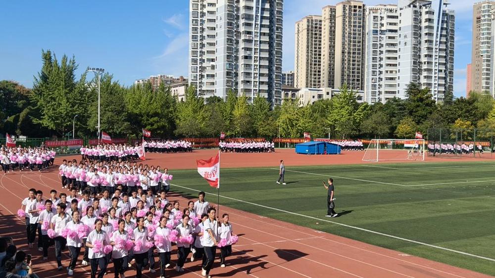 2346db7440480b1528c394bf98491318