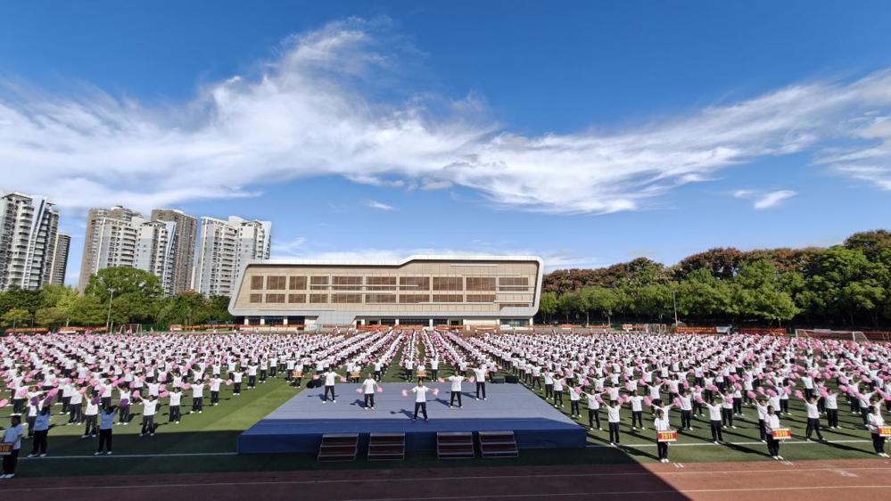 6b33d4f0042be4e93645a9751536adc7